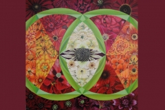 Vesica-Piscis