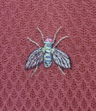 Parasitfluga 2