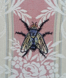 Parasitfluga