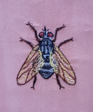 Stickfluga