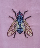 Stickfluga