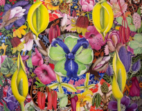SKUNKKALLA