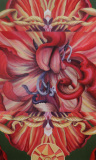 Tripple Tulip 1