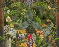 Svampars-Hem-o-Horisont