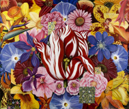 Blominfarkt