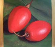 Tamarillo