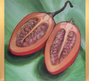 tomatillo-2